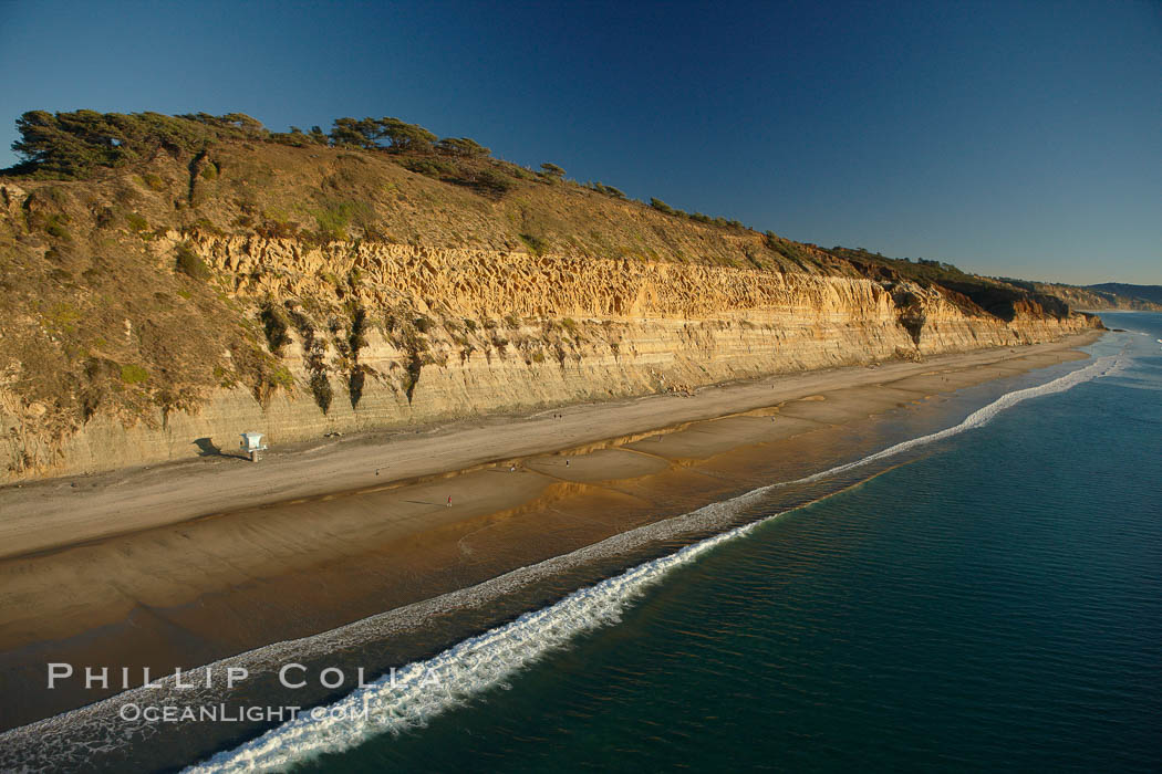 Torrey Pines seacliffs, rising up to 300 feet above the ocean, stretch from Del Mar to La Jolla. On the mesa atop the bluffs are found Torrey pine trees, one of the rare species of pines in the world, Torrey Pines State Reserve, San Diego, California