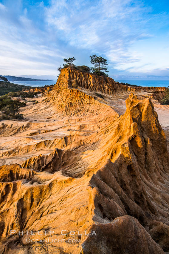 Torrey Pines State Reserve, Broken Hill at Dawn. San Diego, California, USA, natural history stock photograph, photo id 29180