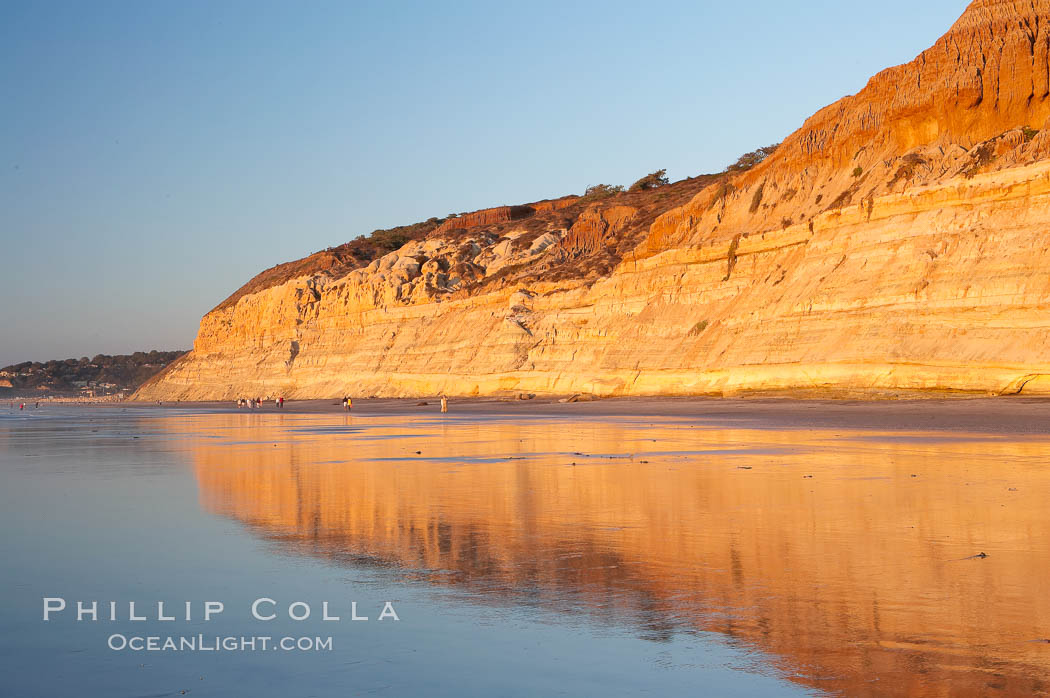 Sandstone cliffs rise above the beach at Torrey Pines State Reserve. San Diego, California, USA, natural history stock photograph, photo id 14726