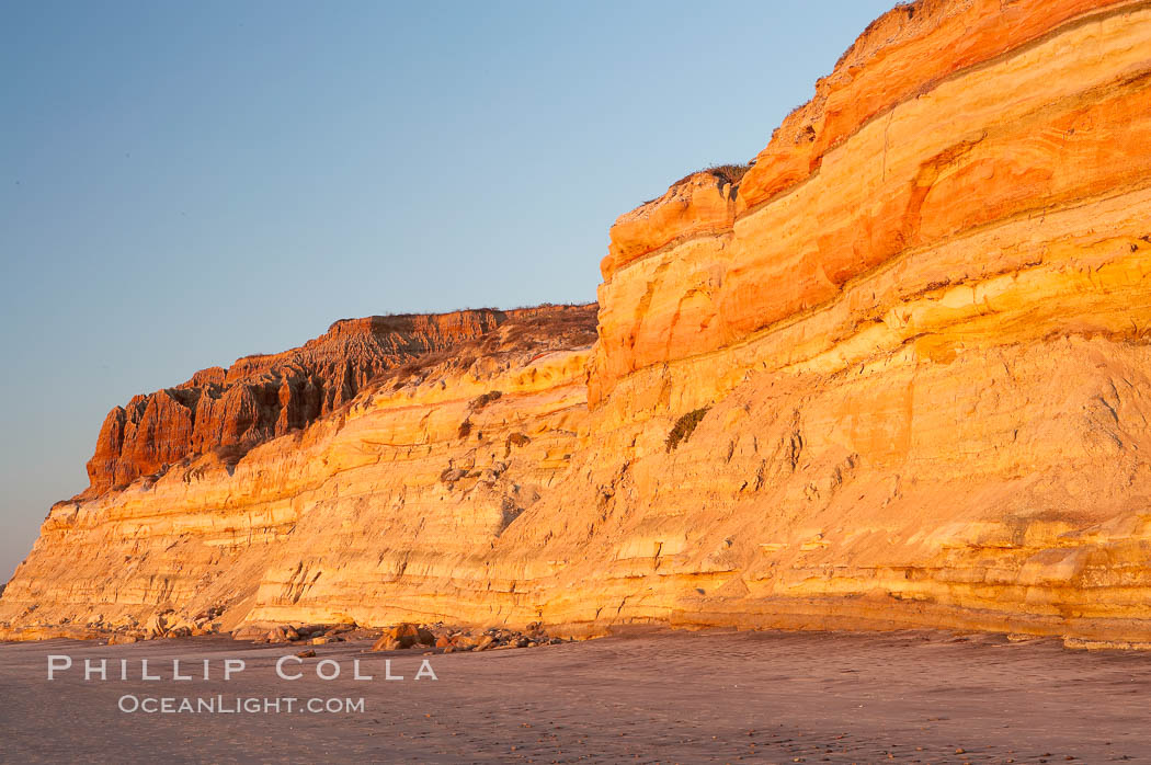 Sandstone cliffs rise above the beach at Torrey Pines State Reserve. San Diego, California, USA, natural history stock photograph, photo id 14727