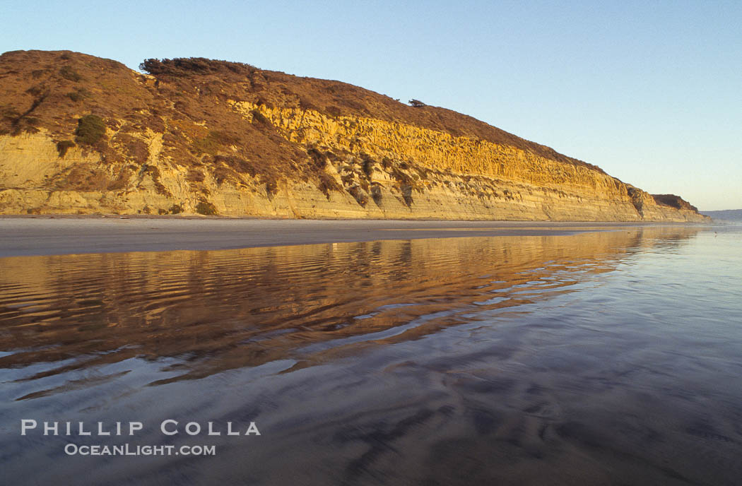 Sea cliffs at Torrey Pines State Reserve., natural history stock photograph, photo id 05513