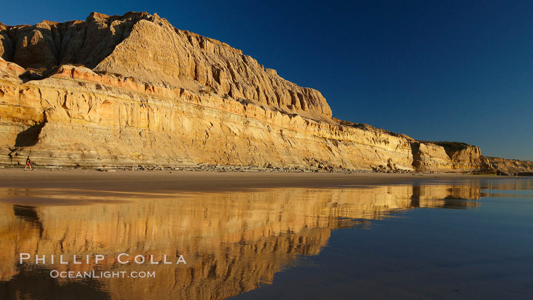 Torrey Pines State Beach, sandstone cliffs rise above the beach at Torrey Pines State Reserve. San Diego, California, USA, natural history stock photograph, photo id 22444