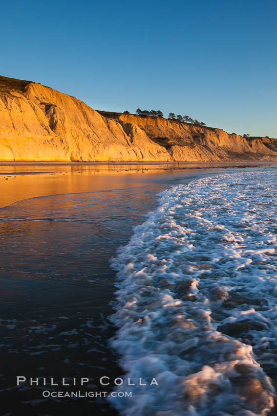 Torrey Pines State Beach, sandstone cliffs rise above the beach at Torrey Pines State Reserve. San Diego, California, USA, natural history stock photograph, photo id 27248
