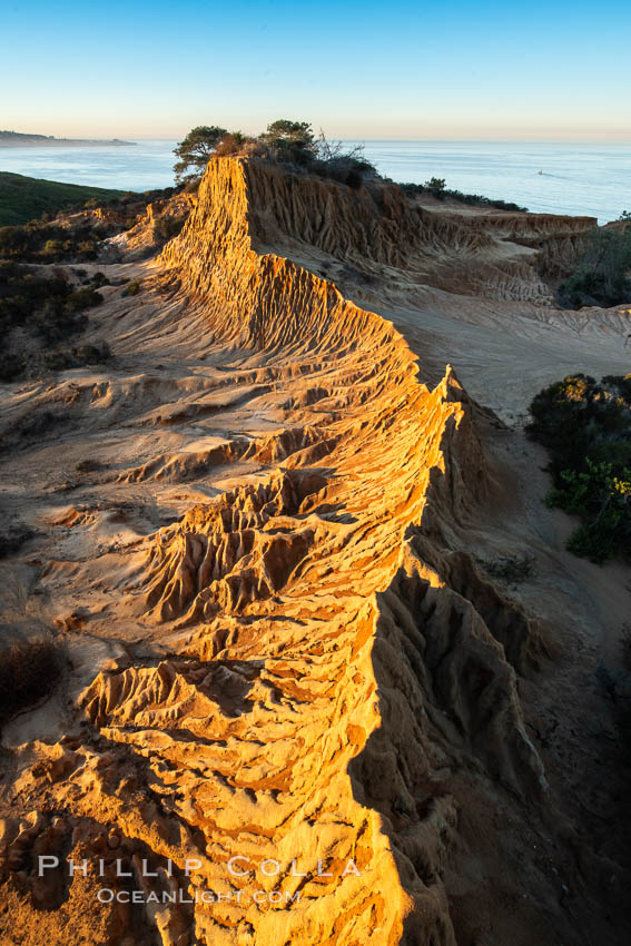 Broken Hill by the first light of dawn, overlooking the Pacific Ocean and Torrey Pines State Reserve. San Diego, California, USA, natural history stock photograph, photo id 36567