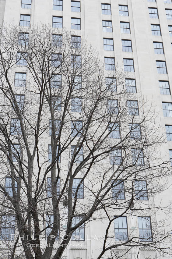 Trees and buildings, winter. Manhattan, New York City, USA, natural history stock photograph, photo id 11165