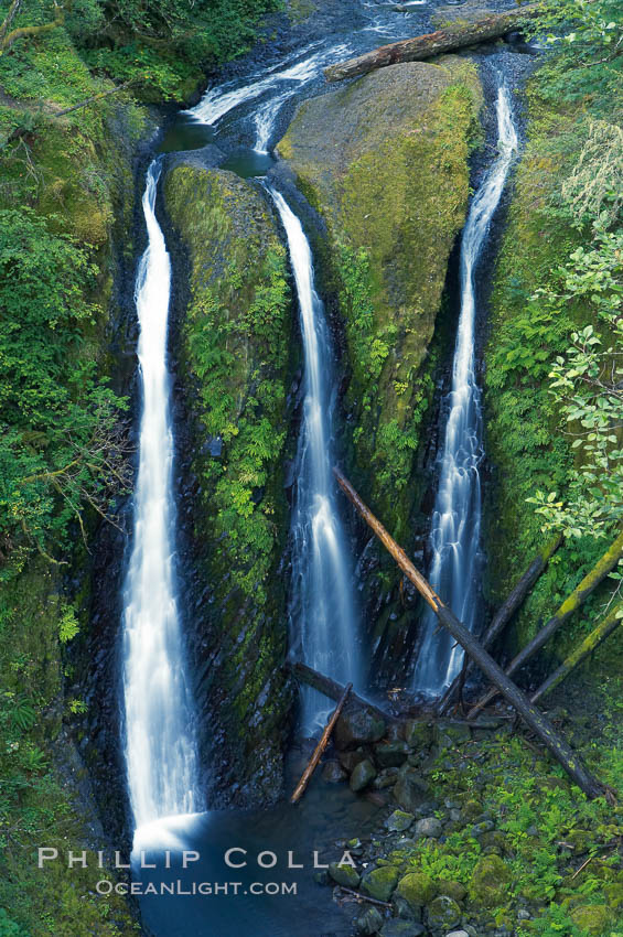 Triple Falls, in the upper part of Oneonta Gorge, fall 130 feet through a lush, beautiful temperate rainforest. Columbia River Gorge National Scenic Area, Oregon, USA, natural history stock photograph, photo id 19326