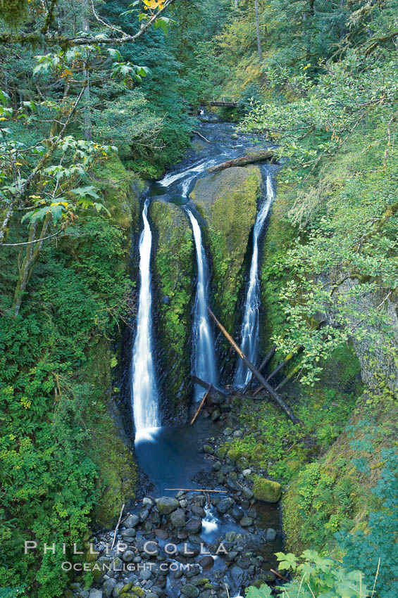 Triple Falls, in the upper part of Oneonta Gorge, fall 130 feet through a lush, beautiful temperate rainforest. Columbia River Gorge National Scenic Area, Oregon, USA, natural history stock photograph, photo id 19327