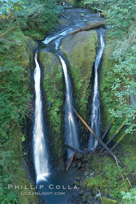 Triple Falls, in the upper part of Oneonta Gorge, fall 130 feet through a lush, beautiful temperate rainforest. Columbia River Gorge National Scenic Area, Oregon, USA, natural history stock photograph, photo id 19329