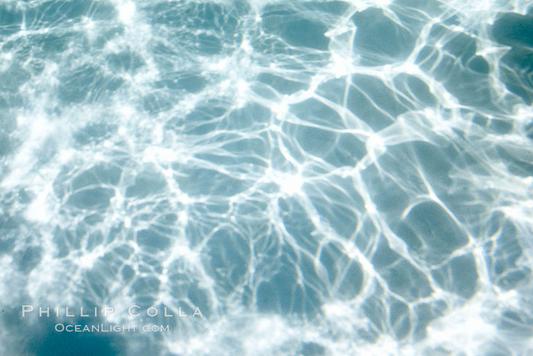 Trochoidal sunlight patterns on the bottom of a swimming pool., natural history stock photograph, photo id 20778