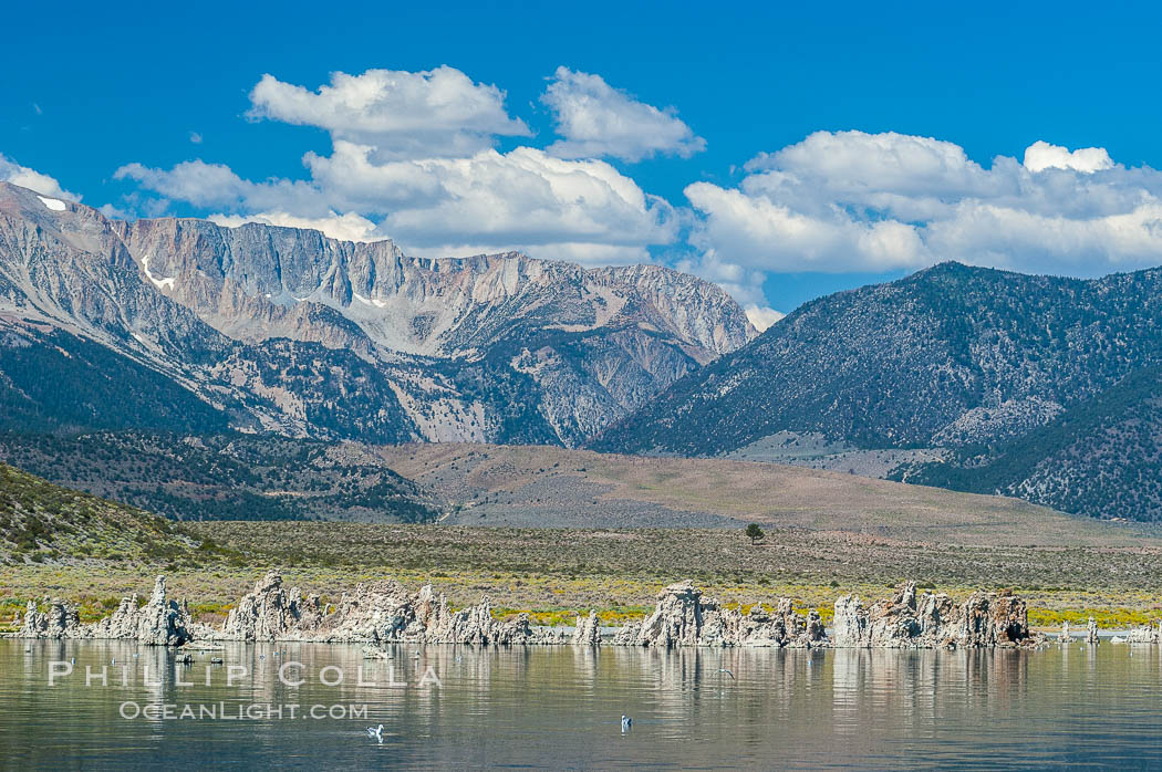 Tufa towers rise from Mono Lake with the Eastern Sierra visible in the distance.  Tufa towers are formed when underwater springs rich in calcium mix with lakewater rich in carbonates, forming calcium carbonate (limestone) structures below the surface of the lake.  The towers were eventually revealed when the water level in the lake was lowered starting in 1941.  South tufa grove, Navy Beach. California, USA, natural history stock photograph, photo id 09937