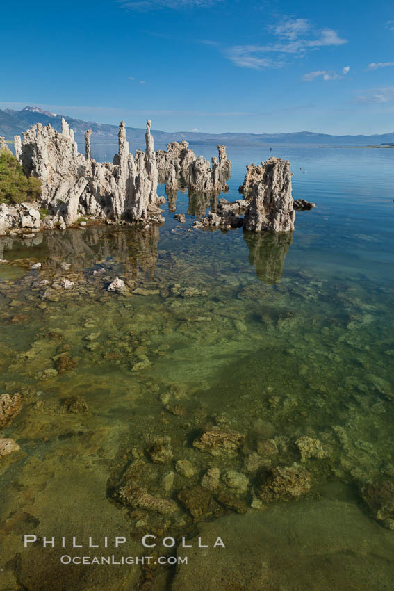 Tufa towers rise from Mono Lake, with the Eastern Sierra visible in the distance. Tufa towers are formed when underwater springs rich in calcium mix with lakewater rich in carbonates, forming calcium carbonate (limestone) structures below the surface of the lake. The towers were eventually revealed when the water level in the lake was lowered starting in 1941. California, USA, natural history stock photograph, photo id 26993