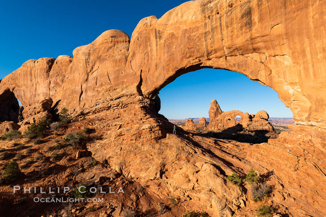 Tracy greets the dawn, with Turret Arch in the distance viewed through North Window at Sunrise. Arches National Park, Utah, USA, natural history stock photograph, photo id 37860