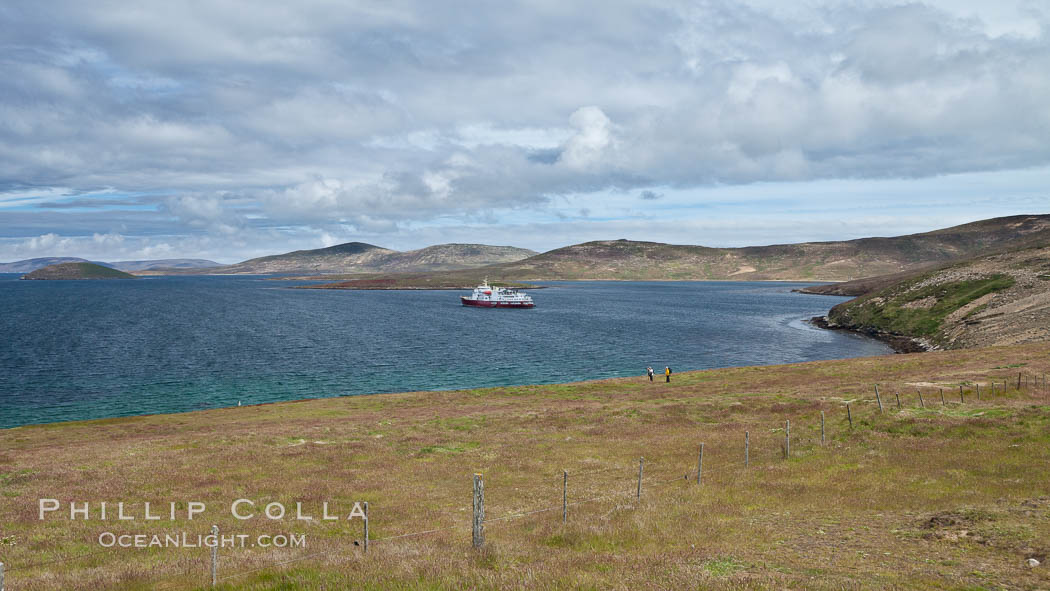 Typical grasslands of the Falkland Islands, a pastoral setting with old wooden fence and rolling fields, icebreaker ship M/V Polar Star at anchor just offshore. New Island, United Kingdom, natural history stock photograph, photo id 23804
