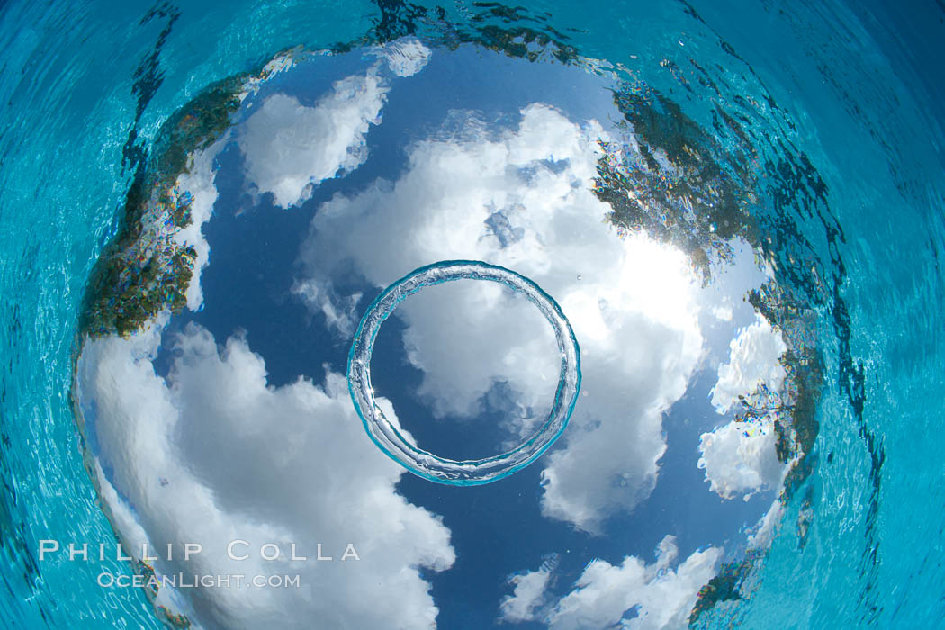 Underwater bubble ring, a stable toroidal pocket of air., natural history stock photograph, photo id 25282