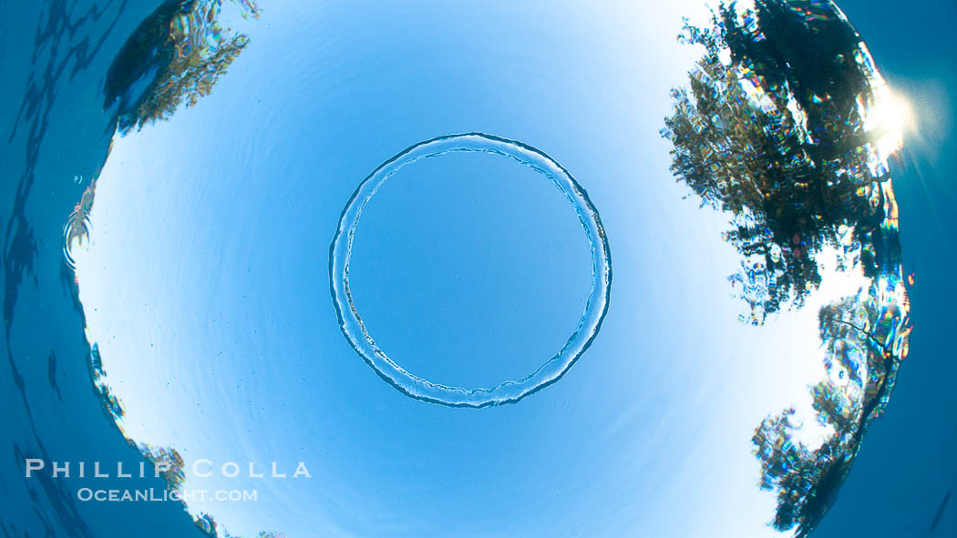 Underwater bubble ring, a stable toroidal pocket of air., natural history stock photograph, photo id 27054