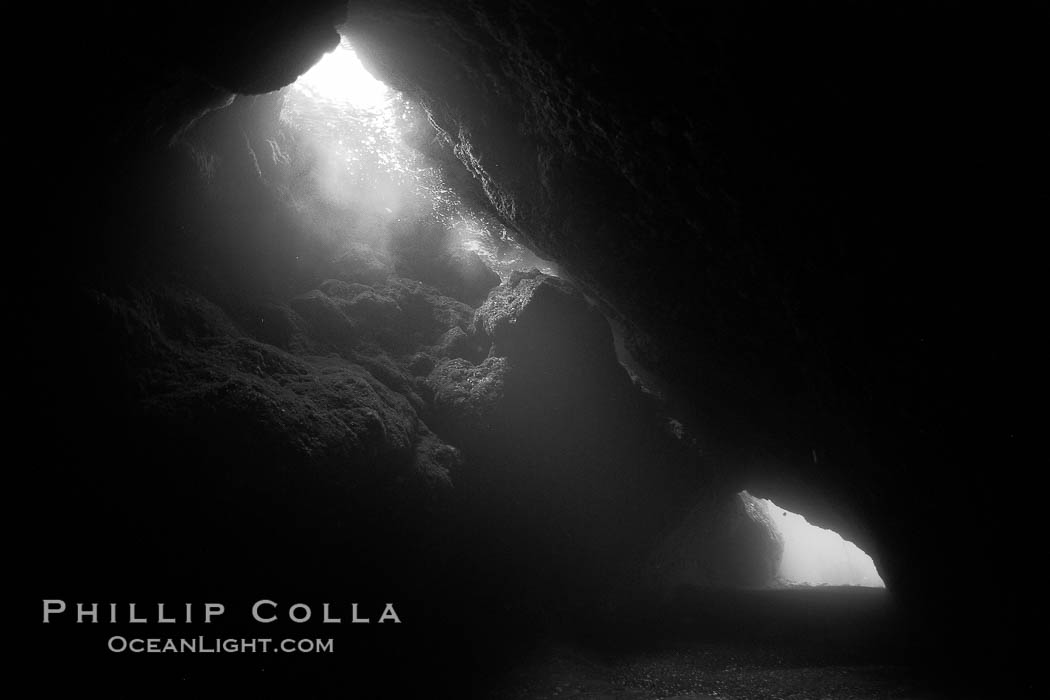 A submarine cavern at Santa Barbara Island, underwater. California, USA, natural history stock photograph, photo id 23434