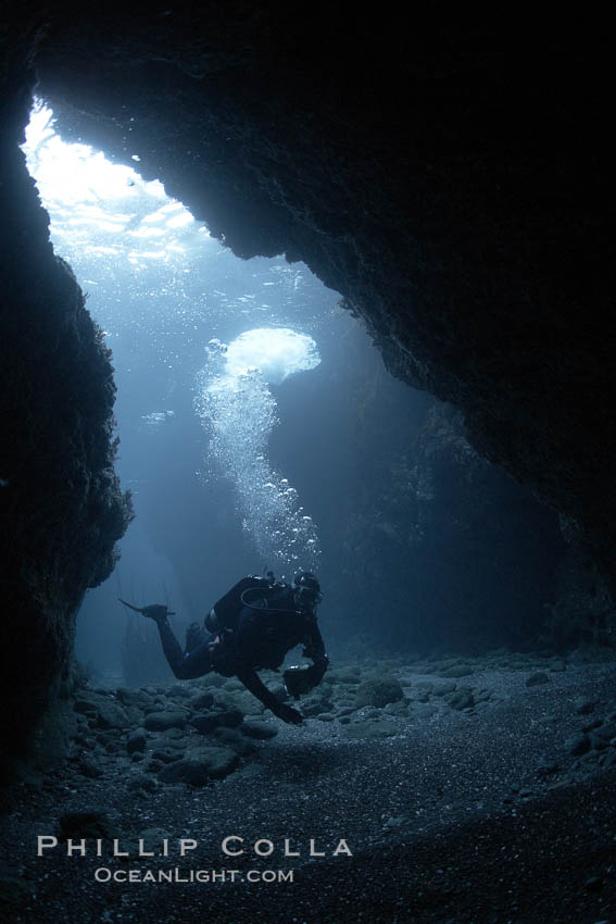 A SCUBA diver enters a submarine cavern at Santa Barbara Island, underwater cave. California, USA, natural history stock photograph, photo id 23464