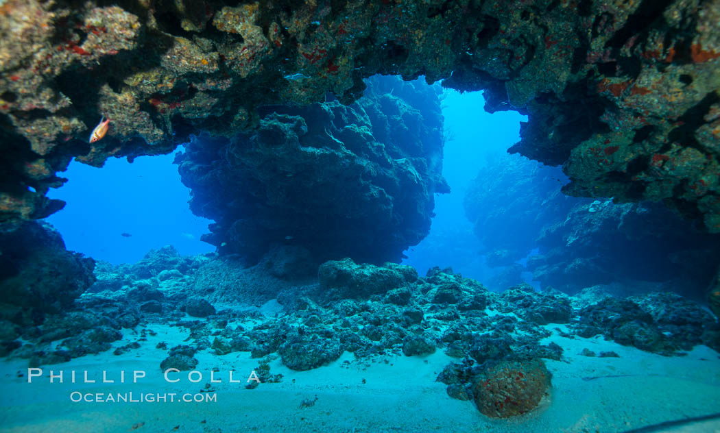 Underwater cavern, Grand Cayman Island. Cayman Islands, natural history stock photograph, photo id 32204