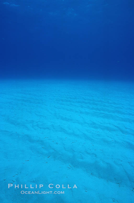 Sand, water and light. Bahamas, natural history stock photograph, photo id 05661