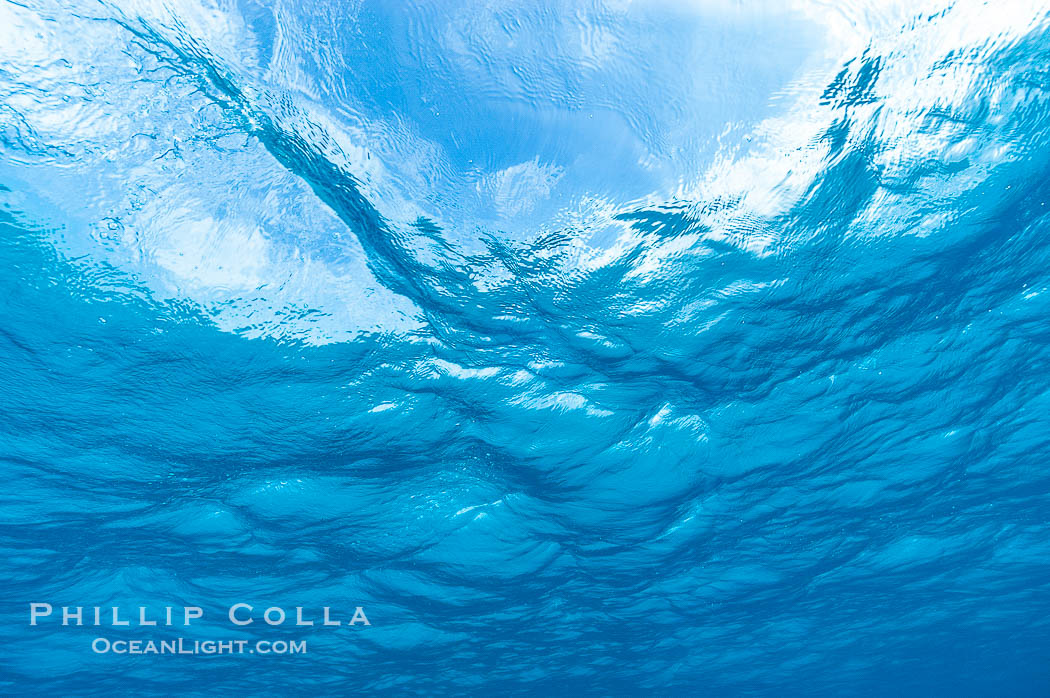 Sunlight and clouds are visible through the clear ocean waters of the Northern Bahamas. Bahamas, natural history stock photograph, photo id 10872