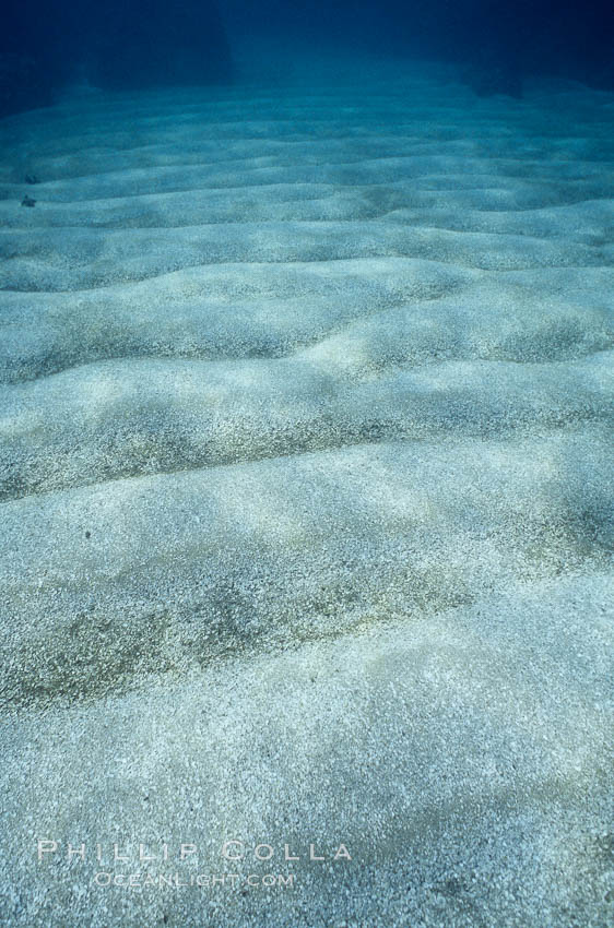 Water patterns., natural history stock photograph, photo id 03187