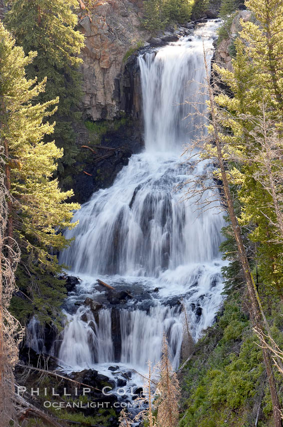 Undine Falls, between Mammoth and Tower in Yellowstone National Park, marks where Lava Creek drops 110 feet in two sections. Wyoming, USA, natural history stock photograph, photo id 13306
