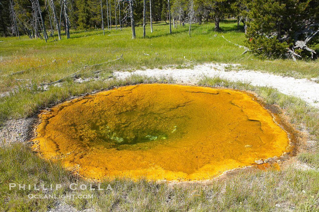 Unnamed spring or pool, Geyser Hill., natural history stock photograph, photo id 13415