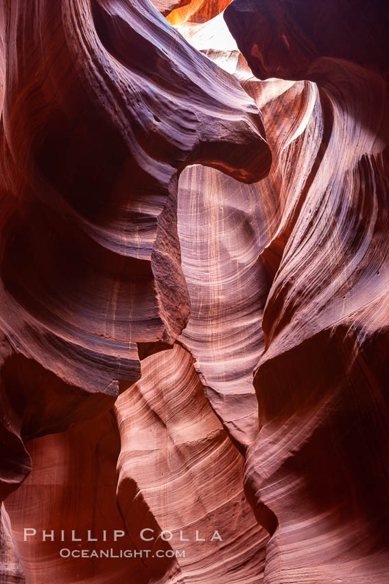 Antelope Canyon, a deep narrow slot canyon formed by water and wind erosion. Navajo Tribal Lands, Page, Arizona, USA, natural history stock photograph, photo id 18015