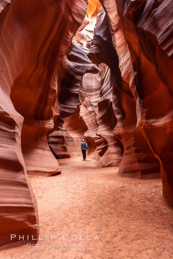 A hiker admiring the striated walls and dramatic light within Antelope Canyon, a deep narrow slot canyon formed by water and wind erosion. Navajo Tribal Lands, Page, Arizona, USA, natural history stock photograph, photo id 17993