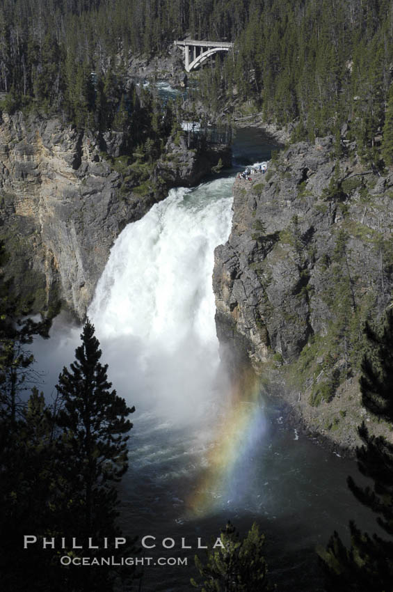 A rainbow forms in the spray from Upper Yellowstone Falls near the Grand Canyon of the Yellowstone. Yellowstone National Park, Wyoming, USA, natural history stock photograph, photo id 07374