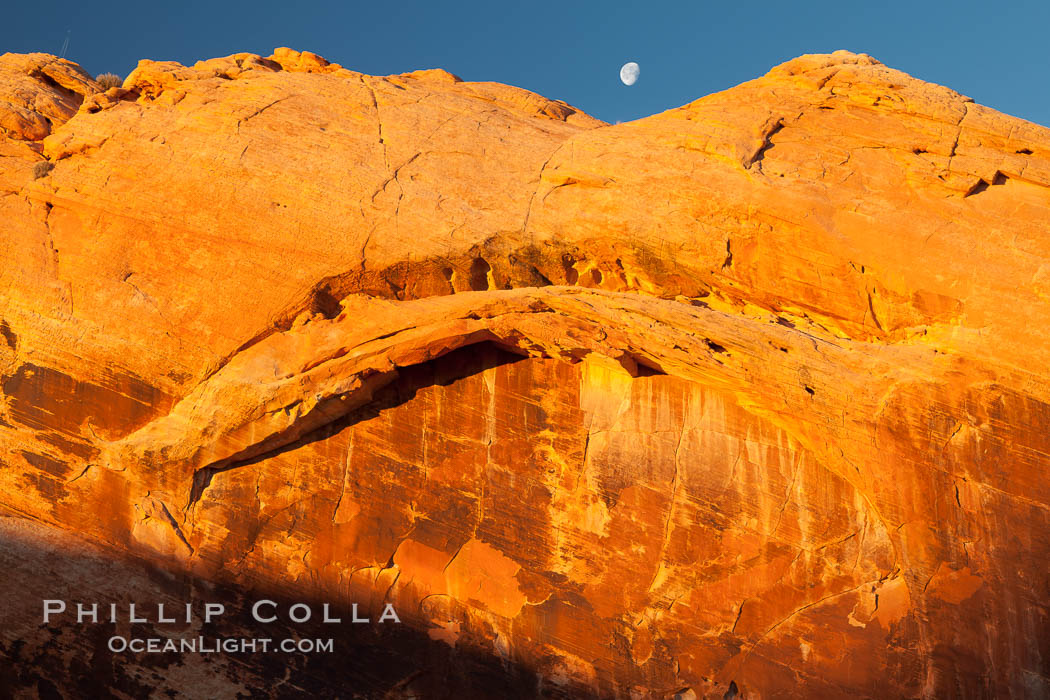 Setting moon over natural sandstone arch, sunrise. Valley of Fire State Park, Nevada, USA, natural history stock photograph, photo id 26481