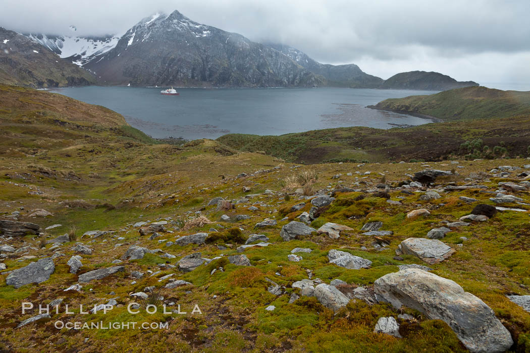 View of Godthul, from the grassy slopes of South Georgia.  The name Godthul, or "Good Hollow", dates back to Norwegian whalers who used this bay as a anchorage