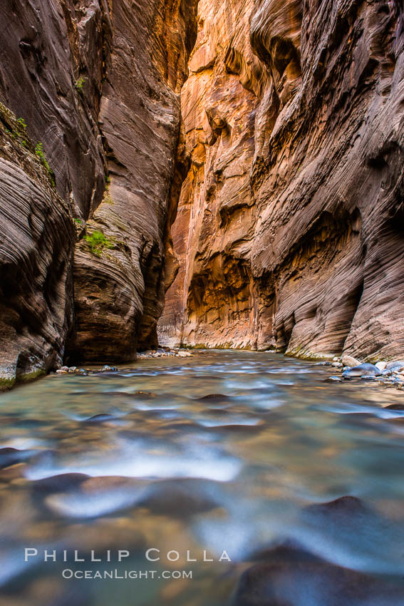 The Virgin River Narrows, where the Virgin River has carved deep, narrow canyons through the Zion National Park sandstone, creating one of the finest hikes in the world. Utah, USA, natural history stock photograph, photo id 28578