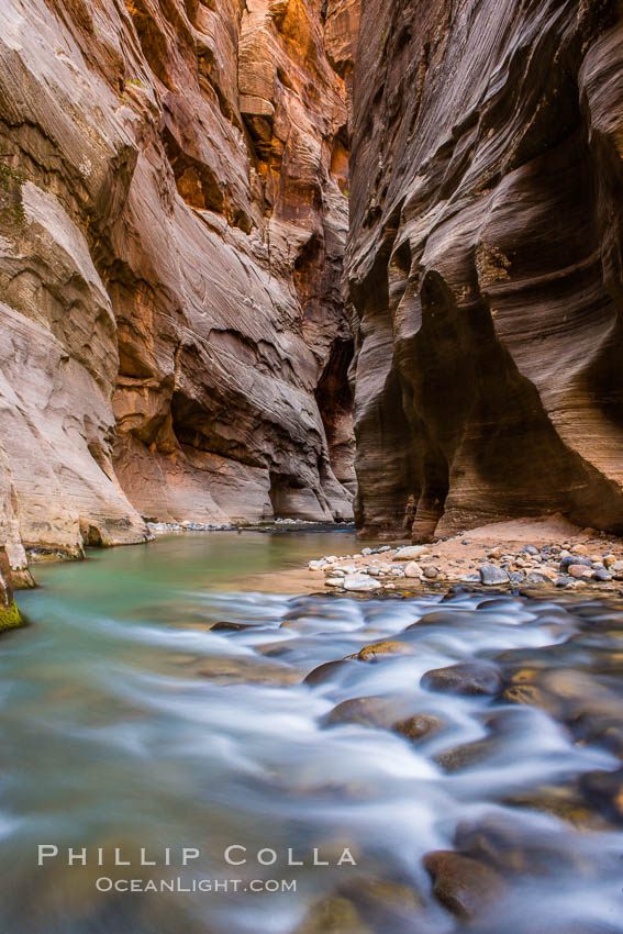 The Virgin River Narrows, where the Virgin River has carved deep, narrow canyons through the Zion National Park sandstone, creating one of the finest hikes in the world. Utah, USA, natural history stock photograph, photo id 28579