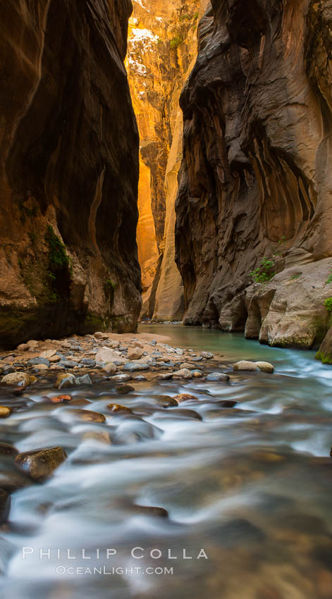 The Virgin River Narrows, where the Virgin River has carved deep, narrow canyons through the Zion National Park sandstone, creating one of the finest hikes in the world. Utah, USA, natural history stock photograph, photo id 28583