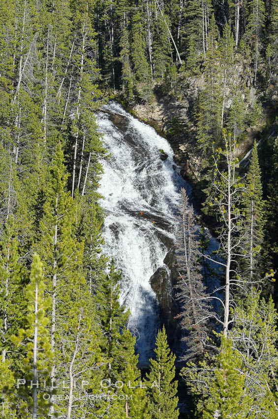 Virginia Cascades is a 60 foot waterfall between Madison and Canyon in Yellowstone National Park. Wyoming, USA, natural history stock photograph, photo id 13303