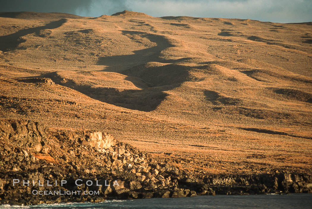 Volcanic cones, landscape, south end of Isla Guadalupe. Guadalupe Island (Isla Guadalupe), Baja California, Mexico, natural history stock photograph, photo id 03072