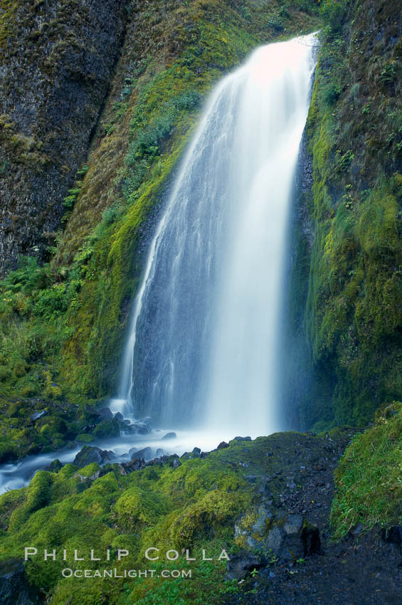 Wahkeena Falls drops 249 feet in several sections through a lush green temperate rainforest. Columbia River Gorge National Scenic Area, Oregon, USA, natural history stock photograph, photo id 19325