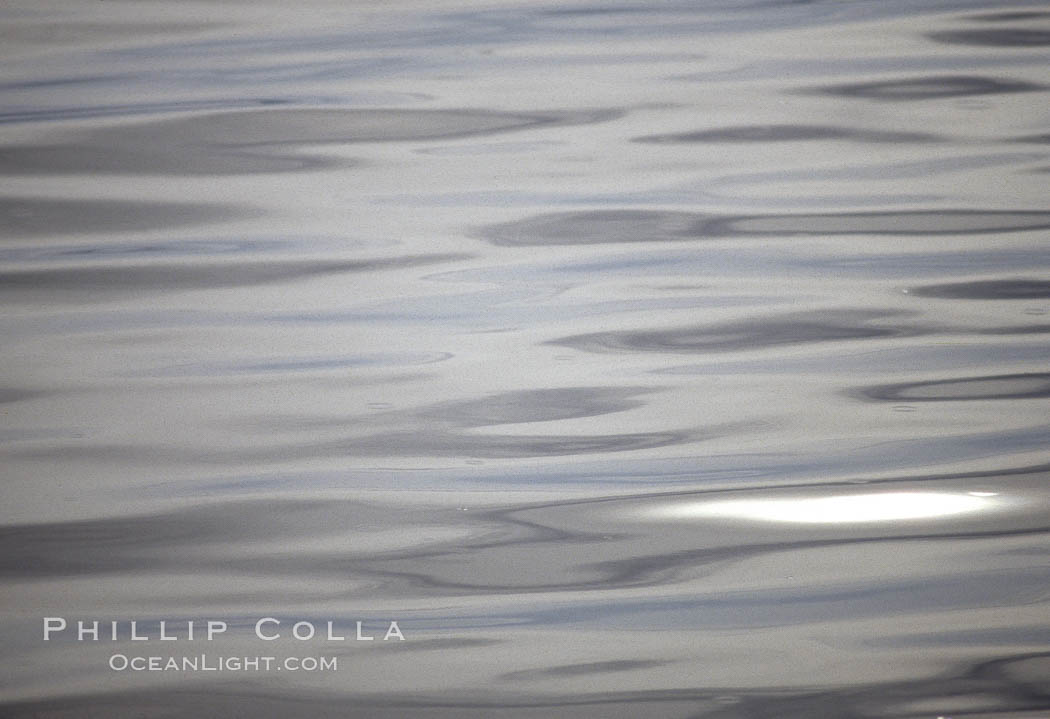 Water and light, steel gray reflections, ripples and patterns. Frederick Sound, Alaska, USA, natural history stock photograph, photo id 04590