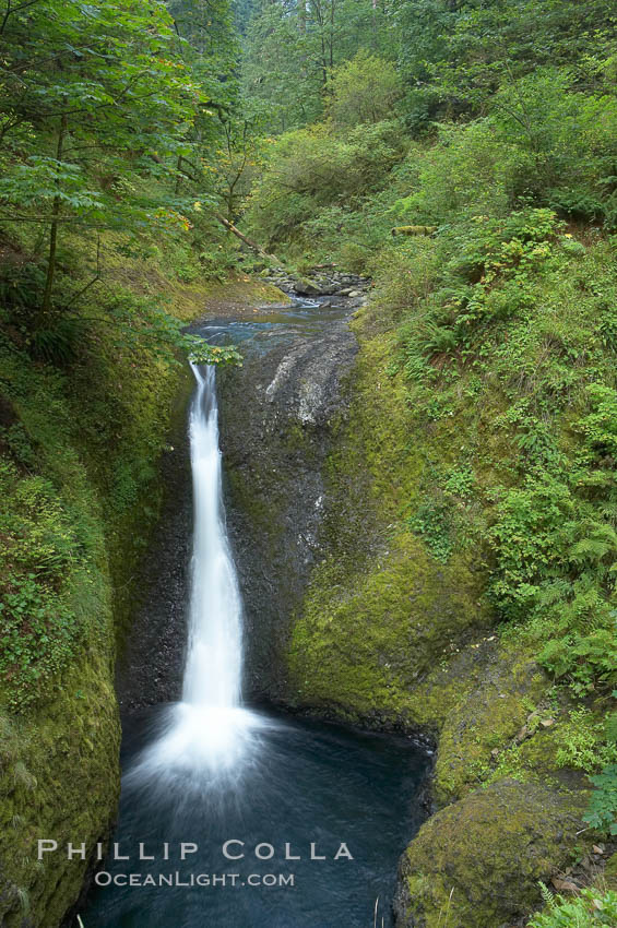  Columbia River Gorge National Scenic Area, Oregon, USA, natural history stock photograph, photo id 19323