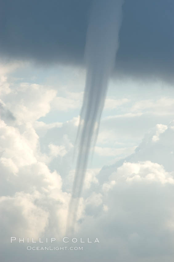 The mature vortex of a ocean waterspout, seen against cumulus clouds in the background. Waterspouts are tornadoes that form over water, Great Isaac Island