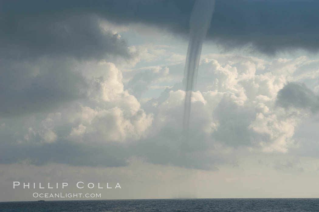 The mature vortex of a ocean waterspout, seen against cumulus clouds in the background.  Waterspouts are tornadoes that form over water. Great Isaac Island, Bahamas, natural history stock photograph, photo id 10848