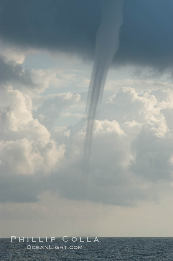 The mature vortex of a ocean waterspout, seen against cumulus clouds in the background.  Waterspouts are tornadoes that form over water. Great Isaac Island, Bahamas, natural history stock photograph, photo id 10847