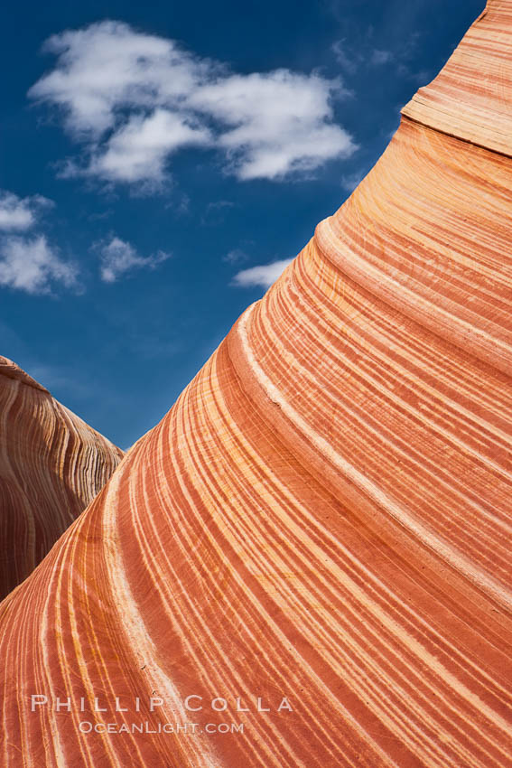 The Wave, an area of fantastic eroded sandstone featuring beautiful swirls, wild colors, countless striations, and bizarre shapes set amidst the dramatic surrounding North Coyote Buttes of Arizona and Utah.  The sandstone formations of the North Coyote Buttes, including the Wave, date from the Jurassic period. Managed by the Bureau of Land Management, the Wave is located in the Paria Canyon-Vermilion Cliffs Wilderness and is accessible on foot by permit only. USA, natural history stock photograph, photo id 20623