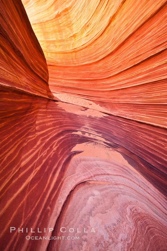 The Wave, an area of fantastic eroded sandstone featuring beautiful swirls, wild colors, countless striations, and bizarre shapes set amidst the dramatic surrounding North Coyote Buttes of Arizona and Utah.  The sandstone formations of the North Coyote Buttes, including the Wave, date from the Jurassic period. Managed by the Bureau of Land Management, the Wave is located in the Paria Canyon-Vermilion Cliffs Wilderness and is accessible on foot by permit only. USA, natural history stock photograph, photo id 20609