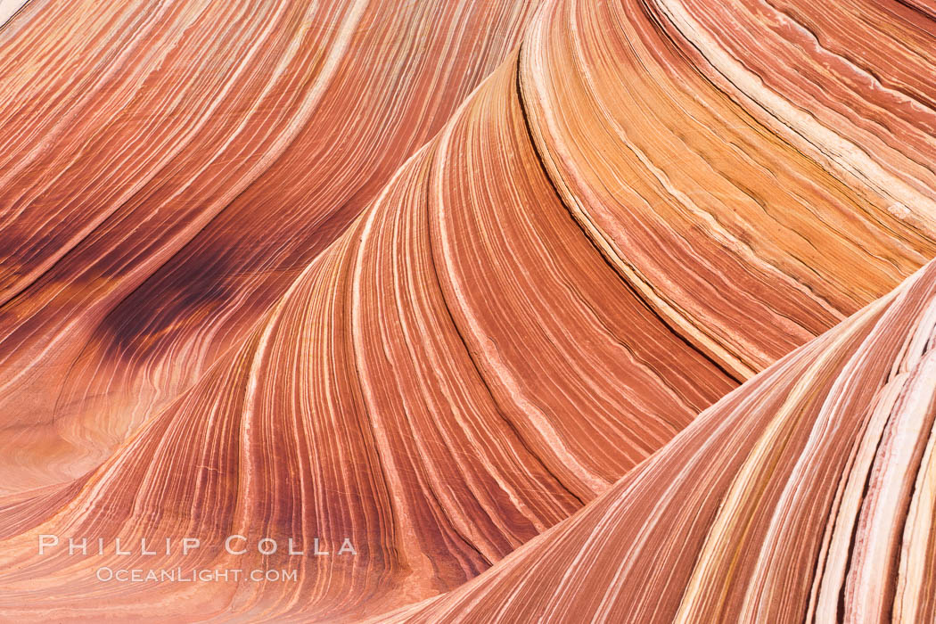 The Wave, an area of fantastic eroded sandstone featuring beautiful swirls, wild colors, countless striations, and bizarre shapes set amidst the dramatic surrounding North Coyote Buttes of Arizona and Utah.  The sandstone formations of the North Coyote Buttes, including the Wave, date from the Jurassic period. Managed by the Bureau of Land Management, the Wave is located in the Paria Canyon-Vermilion Cliffs Wilderness and is accessible on foot by permit only. USA, natural history stock photograph, photo id 20649