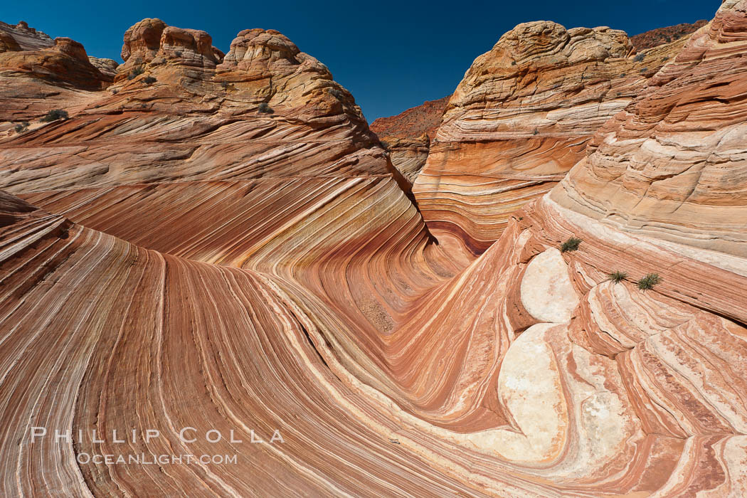 The Wave, an area of fantastic eroded sandstone featuring beautiful swirls, wild colors, countless striations, and bizarre shapes set amidst the dramatic surrounding North Coyote Buttes of Arizona and Utah.  The sandstone formations of the North Coyote Buttes, including the Wave, date from the Jurassic period. Managed by the Bureau of Land Management, the Wave is located in the Paria Canyon-Vermilion Cliffs Wilderness and is accessible on foot by permit only. USA, natural history stock photograph, photo id 20906
