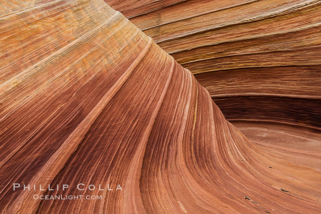 The Wave in the North Coyote Buttes, an area of fantastic eroded sandstone featuring beautiful swirls, wild colors, countless striations, and bizarre shapes set amidst the dramatic surrounding North Coyote Buttes of Arizona and Utah. The sandstone formations of the North Coyote Buttes, including the Wave, date from the Jurassic period. Managed by the Bureau of Land Management, the Wave is located in the Paria Canyon-Vermilion Cliffs Wilderness and is accessible on foot by permit only. USA, natural history stock photograph, photo id 28602