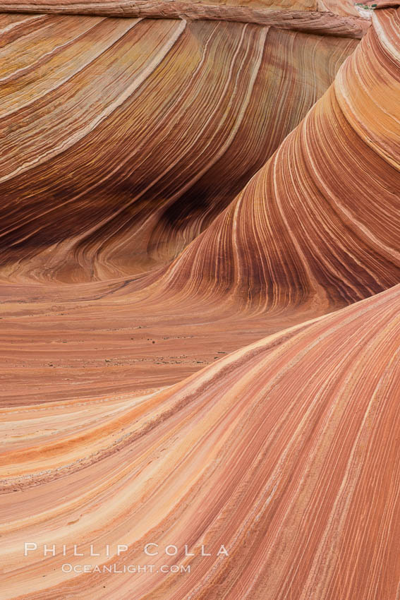 The Wave in the North Coyote Buttes, an area of fantastic eroded sandstone featuring beautiful swirls, wild colors, countless striations, and bizarre shapes set amidst the dramatic surrounding North Coyote Buttes of Arizona and Utah. The sandstone formations of the North Coyote Buttes, including the Wave, date from the Jurassic period. Managed by the Bureau of Land Management, the Wave is located in the Paria Canyon-Vermilion Cliffs Wilderness and is accessible on foot by permit only. USA, natural history stock photograph, photo id 28606