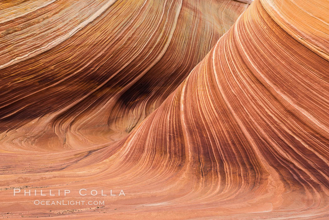 The Wave in the North Coyote Buttes, an area of fantastic eroded sandstone featuring beautiful swirls, wild colors, countless striations, and bizarre shapes set amidst the dramatic surrounding North Coyote Buttes of Arizona and Utah. The sandstone formations of the North Coyote Buttes, including the Wave, date from the Jurassic period. Managed by the Bureau of Land Management, the Wave is located in the Paria Canyon-Vermilion Cliffs Wilderness and is accessible on foot by permit only. USA, natural history stock photograph, photo id 28603